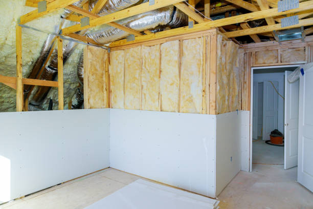 Professional Insulation Contractor in Doctor Phillips, FL