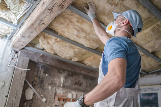 Best Insulation for Specific Applications in Doctor Phillips, FL