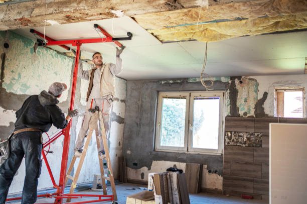 Best Cellulose Insulation in Doctor Phillips, FL